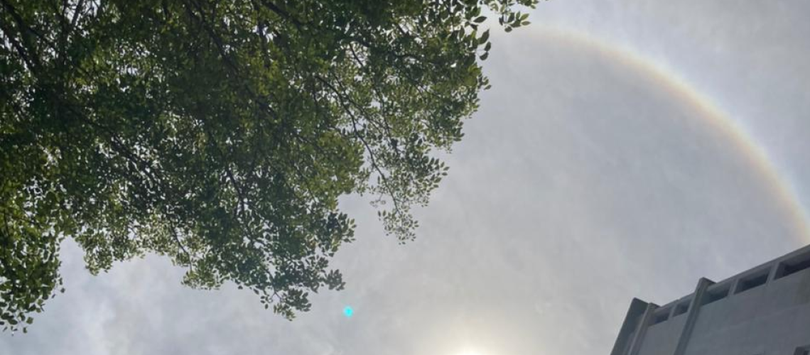 6984res_457439525-56a3c2df5f9b58b7d0d39dc1