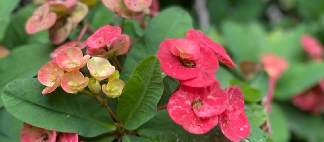 6984res_457439525-56a3c2df5f9b58b7d0d39dc1